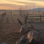 Bill Downey - @downey5245 - Instagram