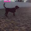 Bill 🐶 - @bill_dozer_ - TikTok