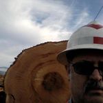 Bill Dozer - @bill.ulin - Instagram