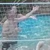 billdrake32 - @billdrake32 - TikTok