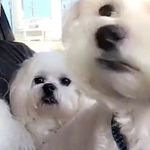 bill drayton - @billdraytonfinsta - Instagram