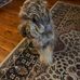 Bill Drennan - Facebook