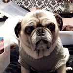 Billy Dolph-drennan - @bill_drennan - Instagram