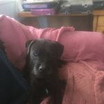 Bill Drew - @williamdrew1940 - Instagram
