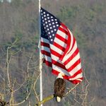 bill dreyer - @dreyer_bill - Instagram