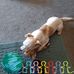 Bill Driskell - Facebook