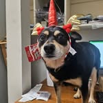 Bill Drover - @billyd1207 - Instagram