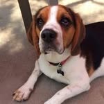 Bill Dryden - @chev69cgd - Instagram