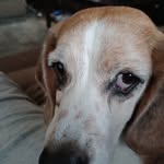 Bill Dryden - @bill.dryden.549 - Instagram