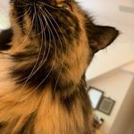 Bill Dudley - @denverdog - Instagram