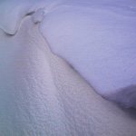 Bill Dugan - @chicago_fishguy - Instagram