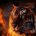 William Duncan - Facebook