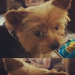Bill Dugger - @bill.dugger._moonlight54 - Instagram