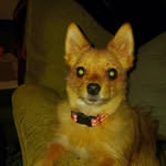 Billy Dugger Sandera - @dugger1044 - Instagram