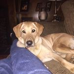Bill Dunham - @bill.dunham.167 - Instagram