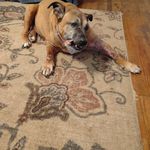 Bill Dunham - @bill.dunham.988 - Instagram