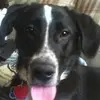 billdunham488 - @billdunham488 - TikTok