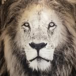 Bill Dunkerley - @bill_dunkerley - Instagram