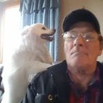 Bill Dunphy - @bill.dunphy - Instagram