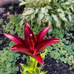 Bill Dunphy - @billyd930 - Instagram