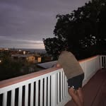 Billy Duong - @billy_duong11 - Instagram