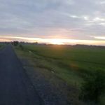 Dương Bill - @billduong6 - Instagram