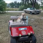 Bill Durkee - @bill_durkee - Instagram