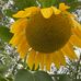 Bill Durkin - Facebook