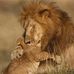William Eagen - Facebook