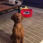 Bill Earls - @bill.earls - Instagram