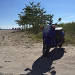 William Earley - @bermuda_bill - Instagram