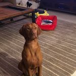 Bill Earls - @bill.earls - Instagram