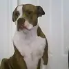 billearls - @billearls - TikTok
