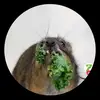 Bill Eden - @bill.eden - TikTok