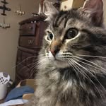 Bill Edens - @bill_edens_ - Instagram