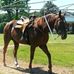 Billy Edenfield - Facebook