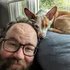 billedinger - @billedinger - TikTok