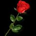 Bill Emmanuel - Facebook