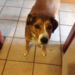 Willie Crosby Engelhardt - @will_da_bill_1751 - Instagram