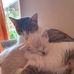 Bill Engler - Facebook