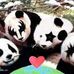 Bill Engler - Facebook