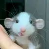 Tamara Garibay - @billenzdani - TikTok