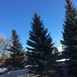 Bill Clinton - @billclintonkilledepstein - Instagram