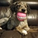 Bill Epstein - @bill.epstein.315 - Instagram