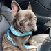 Bill Ericson - Facebook