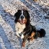 Bille Schubert - @billeschubert - TikTok