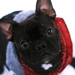 Bill S. Preston, Esq. - @billsprestonesquire - Instagram
