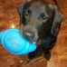 Bill Estell - Facebook