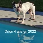 Estelle Billaut - @estelle.billaut - Instagram