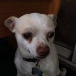 Bill - @bill_estrada64 - Instagram